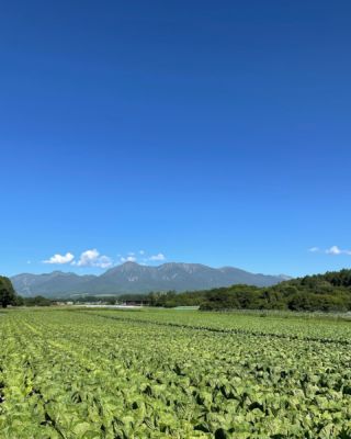 八ヶ岳がキレイ...😍

#野辺山
#野辺山高原
#南牧村
#南牧村から
#八ヶ岳
#ペンション
#ペンションさんかくじょうぎ
#料理の美味しい宿
#さんかくじょうぎ
#料理の美味しい宿さんかくじょうぎ 
#夏山
